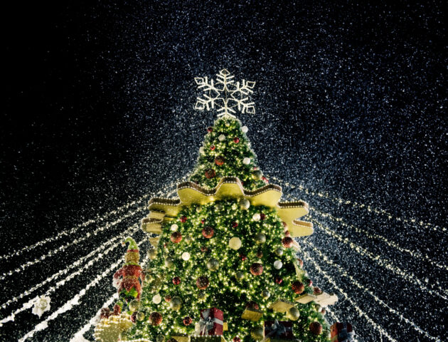 Rozsvícení vánočního stromu Luhačovice